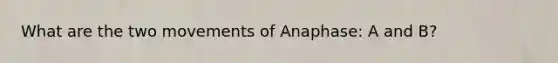 What are the two movements of Anaphase: A and B?