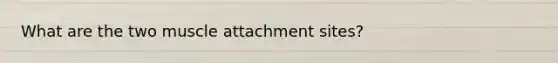 What are the two muscle attachment sites?