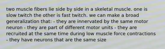 two muscle fibers lie side by side in a skeletal muscle. one is slow twitch the other is fast twitch. we can make a broad generalization that: - they are innervated by the same motor neuron - they are part of different motor units - they are recruited at the same time during low muscle force contractions - they have neurons that are the same size