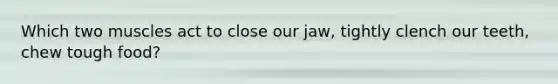 Which two muscles act to close our jaw, tightly clench our teeth, chew tough food?