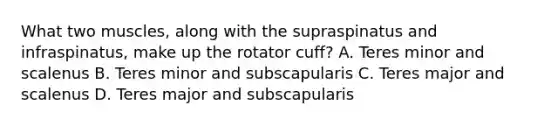 What two muscles, along with the supraspinatus and infraspinatus, make up the rotator cuff? A. Teres minor and scalenus B. Teres minor and subscapularis C. Teres major and scalenus D. Teres major and subscapularis