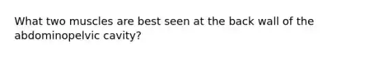 What two muscles are best seen at the back wall of the abdominopelvic cavity?