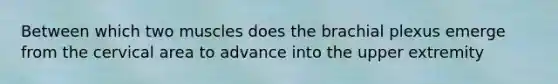 Between which two muscles does the brachial plexus emerge from the cervical area to advance into the upper extremity