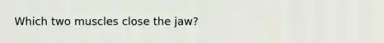 Which two muscles close the jaw?