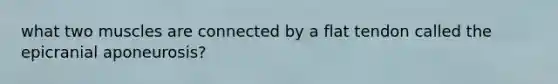 what two muscles are connected by a flat tendon called the epicranial aponeurosis?