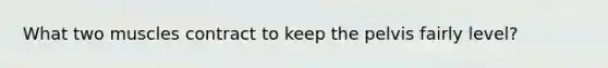 What two muscles contract to keep the pelvis fairly level?