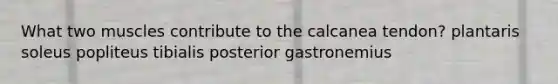 What two muscles contribute to the calcanea tendon? plantaris soleus popliteus tibialis posterior gastronemius