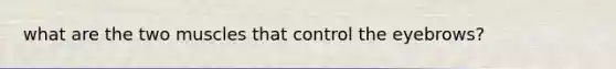 what are the two muscles that control the eyebrows?
