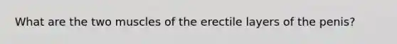 What are the two muscles of the erectile layers of the penis?