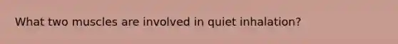 What two muscles are involved in quiet inhalation?