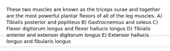 These two muscles are known as the triceps surae and together are the most powerful plantar flexors of all of the leg muscles. A) Tibialis posterior and popliteus B) Gastrocnemius and soleus C) Flexor digitorum longus and flexor hallucis longus D) Tibialis anterior and extensor digitorum longus E) Extensor hallucis longus and fibularis longus