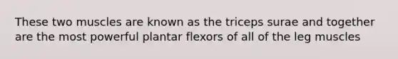 These two muscles are known as the triceps surae and together are the most powerful plantar flexors of all of the leg muscles