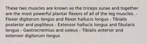 These two muscles are known as the triceps surae and together are the most powerful plantar flexors of all of the leg muscles. - Flexor digitorum longus and flexor hallucis longus - Tibialis posterior and popliteus - Extensor hallucis longus and fibularis longus - Gastrocnemius and soleus - Tibialis anterior and extensor digitorum longus