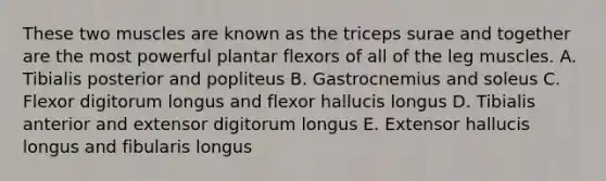 These two muscles are known as the triceps surae and together are the most powerful plantar flexors of all of the leg muscles. A. Tibialis posterior and popliteus B. Gastrocnemius and soleus C. Flexor digitorum longus and flexor hallucis longus D. Tibialis anterior and extensor digitorum longus E. Extensor hallucis longus and fibularis longus