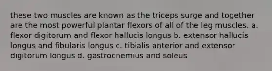 these two muscles are known as the triceps surge and together are the most powerful plantar flexors of all of the leg muscles. a. flexor digitorum and flexor hallucis longus b. extensor hallucis longus and fibularis longus c. tibialis anterior and extensor digitorum longus d. gastrocnemius and soleus