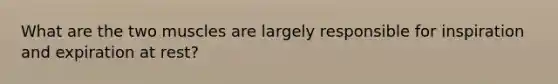 What are the two muscles are largely responsible for inspiration and expiration at rest?