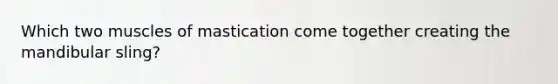 Which two muscles of mastication come together creating the mandibular sling?