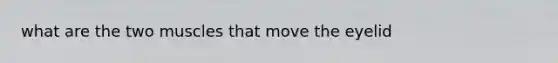 what are the two muscles that move the eyelid