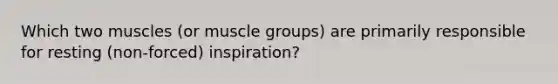 Which two muscles (or muscle groups) are primarily responsible for resting (non-forced) inspiration?