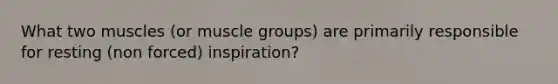 What two muscles (or muscle groups) are primarily responsible for resting (non forced) inspiration?