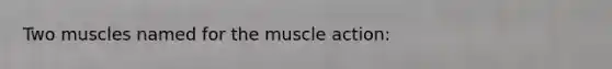 Two muscles named for the muscle action: