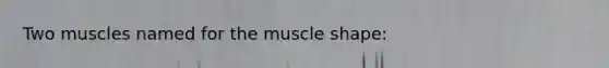 Two muscles named for the muscle shape: