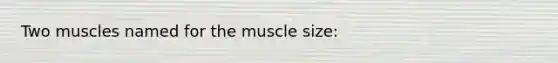 Two muscles named for the muscle size: