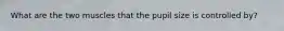 What are the two muscles that the pupil size is controlled by?