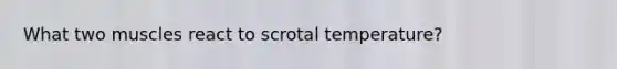 What two muscles react to scrotal temperature?