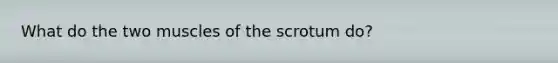 What do the two muscles of the scrotum do?