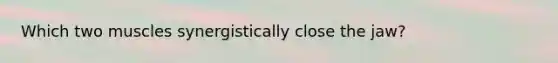 Which two muscles synergistically close the jaw?