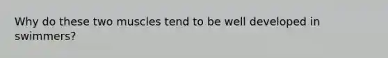 Why do these two muscles tend to be well developed in swimmers?
