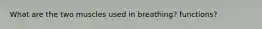 What are the two muscles used in breathing? functions?