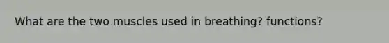 What are the two muscles used in breathing? functions?