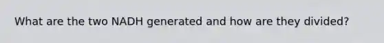 What are the two NADH generated and how are they divided?