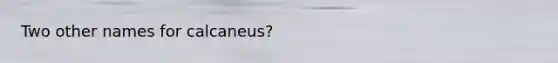 Two other names for calcaneus?