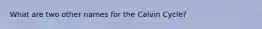 What are two other names for the Calvin Cycle?