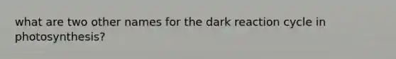 what are two other names for the dark reaction cycle in photosynthesis?