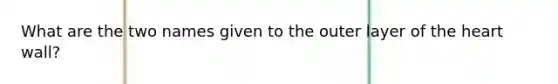 What are the two names given to the outer layer of the heart wall?