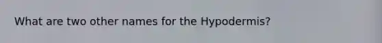 What are two other names for the Hypodermis?