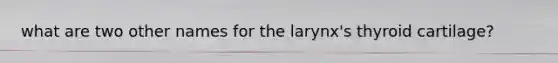 what are two other names for the larynx's thyroid cartilage?