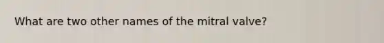 What are two other names of the mitral valve?