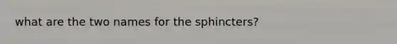 what are the two names for the sphincters?