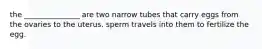 the _______________ are two narrow tubes that carry eggs from the ovaries to the uterus. sperm travels into them to fertilize the egg.