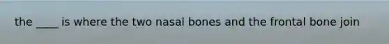 the ____ is where the two nasal bones and the frontal bone join