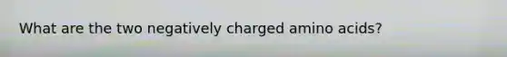 What are the two negatively charged <a href='https://www.questionai.com/knowledge/k9gb720LCl-amino-acids' class='anchor-knowledge'>amino acids</a>?