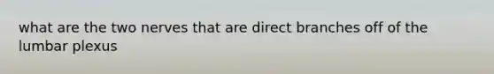 what are the two nerves that are direct branches off of the lumbar plexus