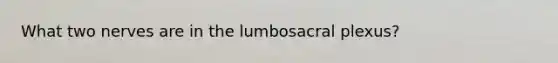 What two nerves are in the lumbosacral plexus?