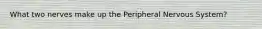 What two nerves make up the Peripheral Nervous System?