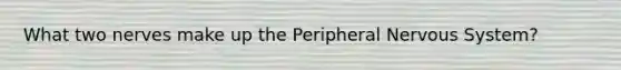 What two nerves make up the Peripheral Nervous System?
